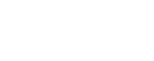 North Texas Skyworks Logo
